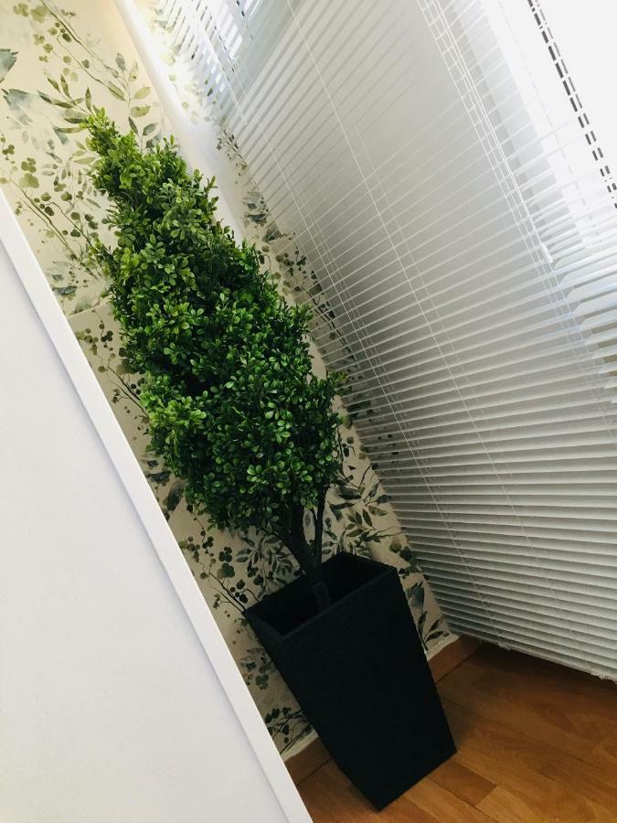 شقة سرقسطة  في Apartamento Good Vibes المظهر الخارجي الصورة